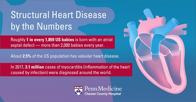 Structural Heart Disease by the Numbers graphic
